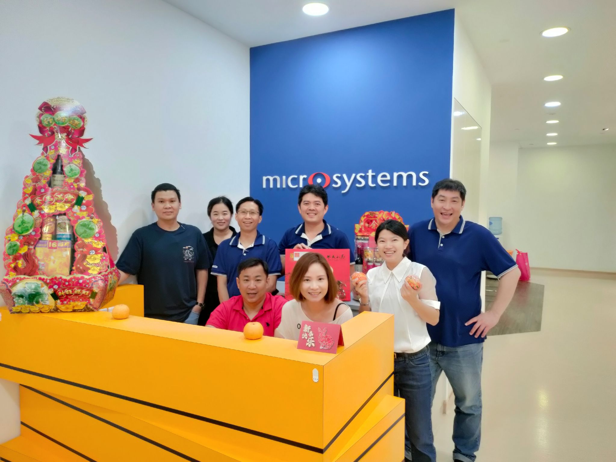 singapore micro systems