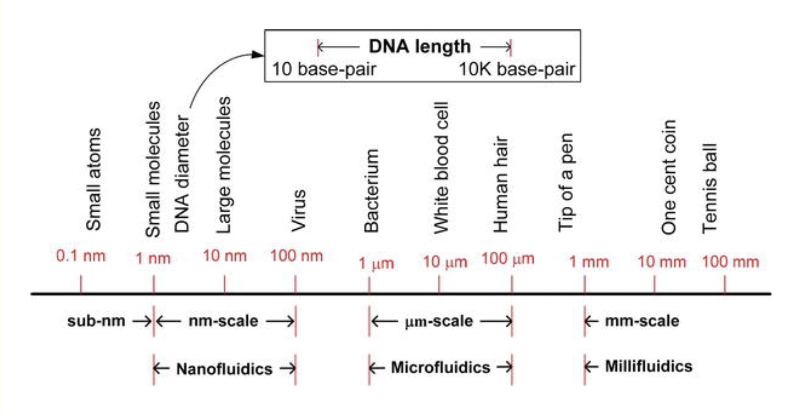 Microfluidics scale